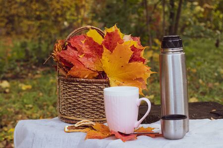 autumn tea party. cup with tea and maple leaves. Maple leaves in a basket. Autumnの写真素材