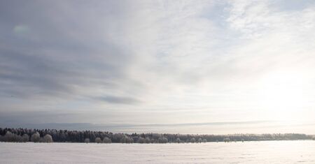 Snowy winter landscape in the field. Frozen white trees. Russian open spaces. Winter
