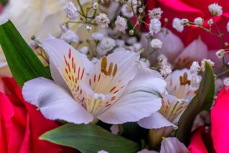Bouquet with bright flowers . A background of floral roses. Beautiful flowers. A gift for the holiday. Fresh flowers.の写真素材