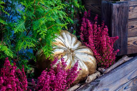 Sculpture pumpkin. decorative street decoration. Decorative pumpkin. City decorations. Autumn. Halloween Holiday decorationの写真素材