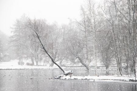 Winter snowy Park-like landscape. Winter landscape. Heavy snowfall in the Park . First snow. Snow pictureの写真素材