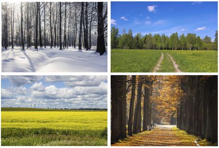 Four nature Seasons in one collageの写真素材