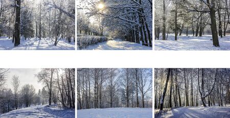 Winter solar Park . Alleys of the Park. Nature. Winter nature. Winter pictures. Snow. Landscape....