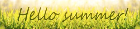 Hello summer banner. Text on photo with grass. green grass with sunlight. New season. Summer picture with grass.の写真素材