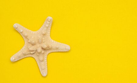 Starfish on a yellow background. Holidays at sea. An article about vacation. An article about the opening of resorts. Marine life.の写真素材