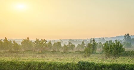 Summer field landscape in the morning at dawn with fog . The morning haze. nature of Russia. Summer landscape. Morning light. Copy spaseの写真素材