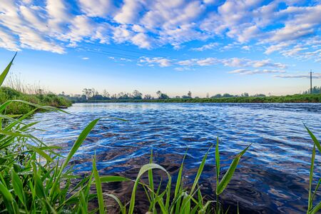 Summer Sunny dawn on the river . nature of Russia . Spaces. River. Photo for the picture. Summer...