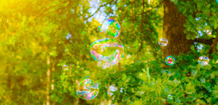 Background soap bubbles on the background of trees. Beautiful color background. Copy space. The concept of a children's holiday and a happy childhood. Bright background concept. Bubblesの写真素材