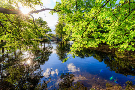 Summer evening in the Park with a lake. Summer landscape. nature of Russia. Well-maintained Park....