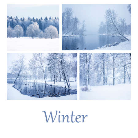 Collage winter snow Park. Alleys of the Park. Nature. Winter nature. Winter pictures. Snow. Landscape. Collage. Selection of photos of the winter Parkの写真素材