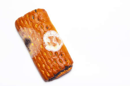 Moldy bun on a white background. Spoiled pastries. Food spoilage. Storage of flour products. Storage products. Isolated background. Copy spaceの写真素材