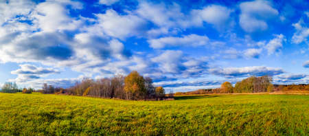 Panorama landscape of autumn. Beautiful scenery. The colors of autumn. Orange trees. New season. Natureの写真素材