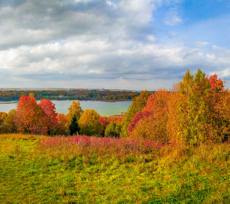 Panorama landscape of autumn. Beautiful scenery. The colors of autumn. Orange trees. New season. Natureの写真素材