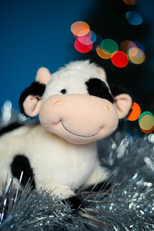 Toy bull and bokeh from the Christmas lights. soft toy symbol of the year of the bull. 2021 year symbol. Animal. Toy cow. Bokeh from a garland. New year and christmasの写真素材
