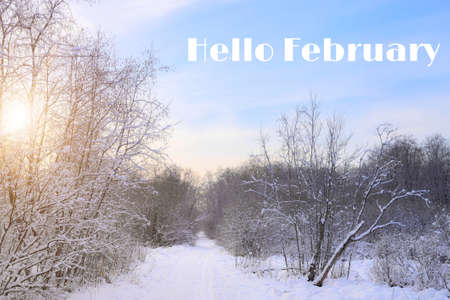 Banner hello February. Winter landscape. Snow and snow trees. Nature. Snow picture. Photo with text....