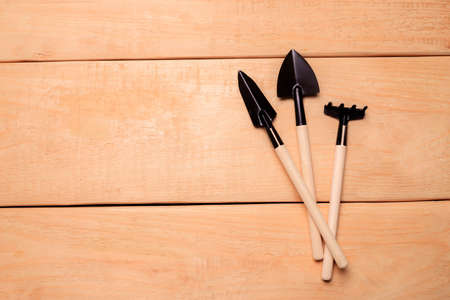 Garden of the blade on a wooden background Garden shovels copy space. .Gardening layout. Plant care. Planting plants. Homemade flowers. Garden flowers and plants. Preparation for the summer season. Planting seedlings. Copy space.の写真素材