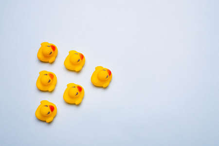 Rubber yellow ducks on a blue background. Rubber toys for the water. Children's toys. Ducks of the Kopi space. Blue background. An article about playing in the water. Leisure time in the bathの写真素材