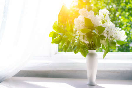 A bouquet of white lilac in a vase.の写真素材