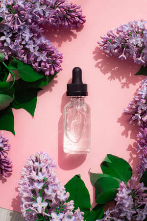 A bottle of perfume and lilac on a pink background. Women's perfume. Spring fragrance. Aromatherapy. Nice smell. Beauty and fashion. Article about the choice of fragrance. An article about current flavors. copy space. A branch of lilac. Natureの写真素材