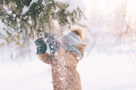 A boy shakes a snow-covered branch of a lifestyle spruce. winter painting. Winter walks. Happy childhood. Frostの写真素材