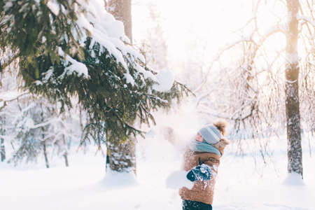 A boy shakes a snow-covered branch of a lifestyle spruce. winter painting. Winter walks. Happy childhood. Frostの写真素材
