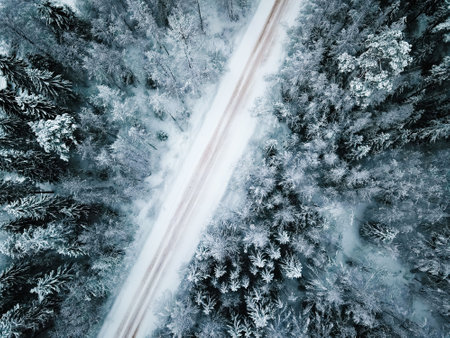Winter snow-covered road top view. winter landscape. winter background. Snow-covered Christmas trees. natural backgroundの写真素材