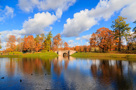 Autumn park landscape . Golden autumn in the city park. Photos on the calendar. Season. September, October, Novemberの写真素材
