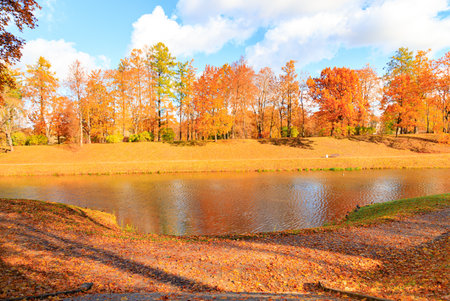 Autumn park landscape . Golden autumn in the city park. Photos on the calendar. Season. September, October, Novemberの写真素材
