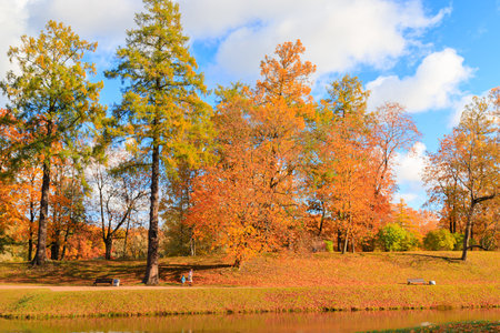 Autumn park landscape . Golden autumn in the city park. Photos on the calendar. Season. September, October, Novemberの写真素材