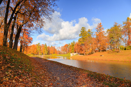 Autumn park landscape . Golden autumn in the city park. Photos on the calendar. Season. September, October, Novemberの写真素材