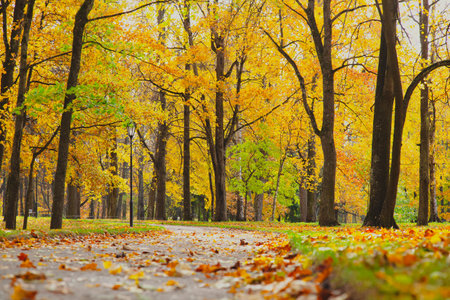 Autumn park landscape . Golden autumn in the city park. Photos on the calendar. Season. September, October, Novemberの写真素材