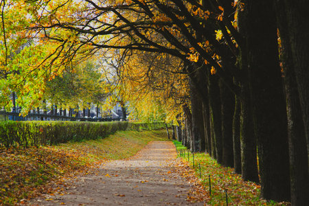 Autumn park landscape . Golden autumn in the city park. Photos on the calendar. Season. September, October, Novemberの写真素材