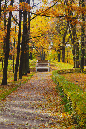 Autumn park landscape . Golden autumn in the city park. Photos on the calendar. Season. September, October, Novemberの写真素材