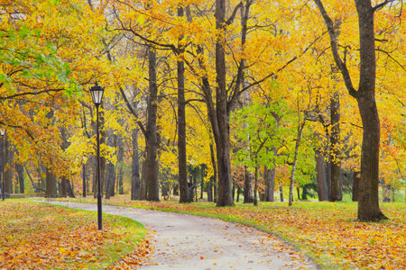 Autumn park landscape . Golden autumn in the city park. Photos on the calendar. Season. September, October, Novemberの写真素材