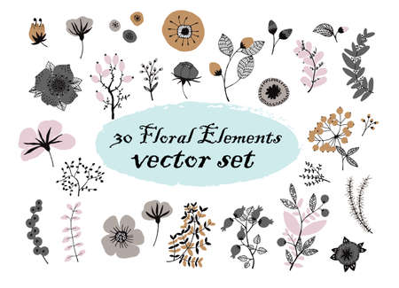 Set of floral elements, illustration made of flowers and herbs.のイラスト素材
