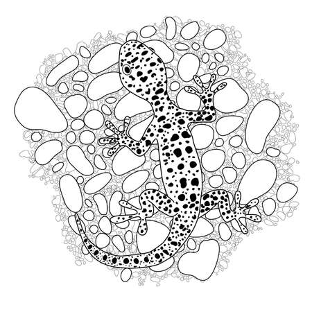 Vector lizard realistic and detailed illustration for a coloring book for adults.のイラスト素材