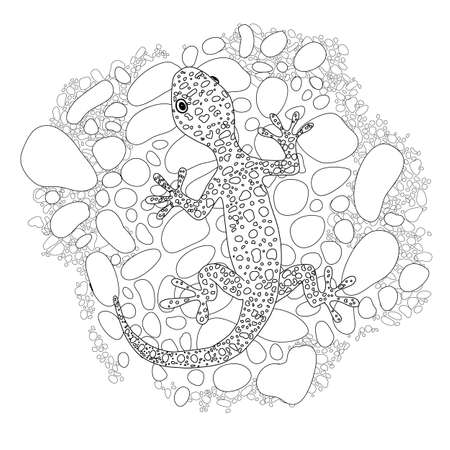 Vector lizard realistic and detailed illustration for a coloring book for adults.のイラスト素材