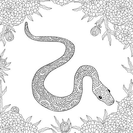 Hand drawn vector doodle outline snake decorated with ornaments.Ready for adult anti stress coloring bookのイラスト素材