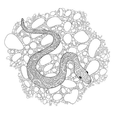Hand drawn vector doodle outline snake decorated with ornaments.Ready for adult anti stress coloring bookのイラスト素材