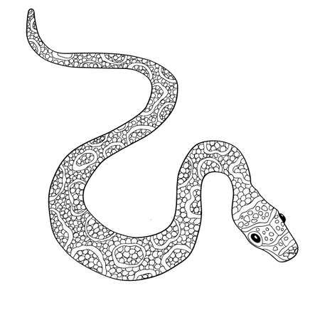 Hand drawn vector doodle outline snake decorated with ornaments.Ready for adult anti stress coloring bookのイラスト素材