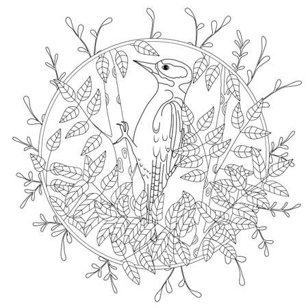 stylized cartoon woodpecker on tree branch. Hand drawn sketch for adult antistress coloring pageのイラスト素材