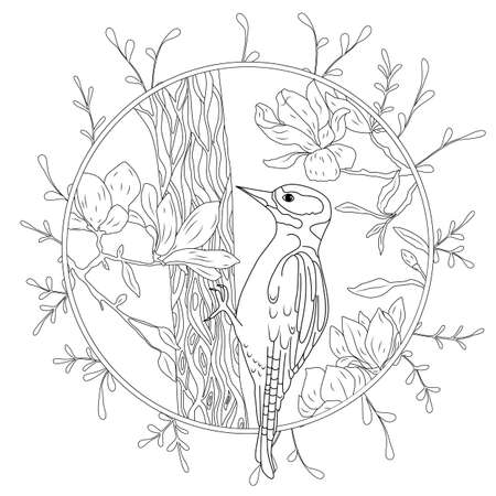 stylized cartoon woodpecker on tree branch. Hand drawn sketch for adult antistress coloring pageのイラスト素材