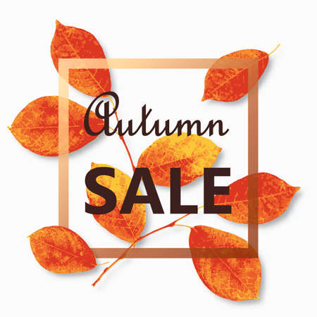 Autumn sale banner.のイラスト素材