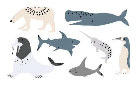 illustration of whales, fish such as narwhal, Blue whale, penguin, Beluga, humpback whale, whale and shark, walrus, Navy seal. Isolated on whiteのイラスト素材