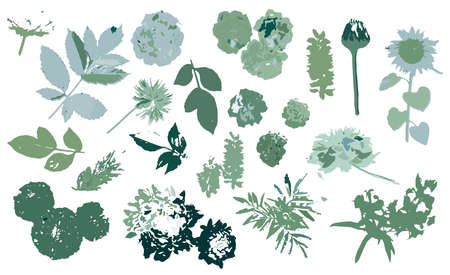Vector flowers collection. Vector isolated elements on the white background.のイラスト素材