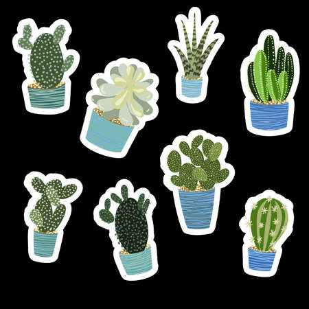 Set of stickers with vector cacti. Flat-style illustrationのイラスト素材