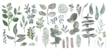 Watercolor flower set. Colorful collection with leaves and flowers. Design elements for invitations, wedding or greeting cards.の写真素材