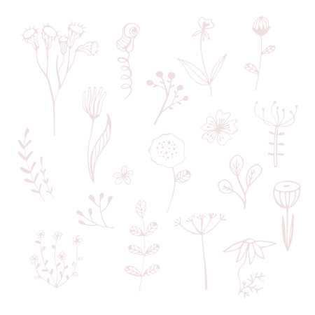 Herbal and meadow plants, grass. Wildflower line art set. Flower doodle botanical collection. Simple hand drawn elements. Vector isolated on white background.のイラスト素材