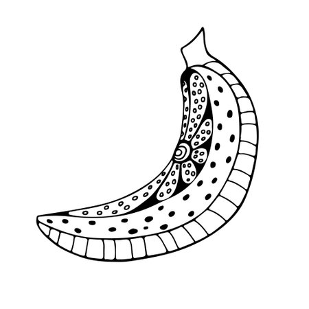 Banana flower. Doodle banana fruit isolated on white background. Abstract image of a fruit. Vectorのイラスト素材