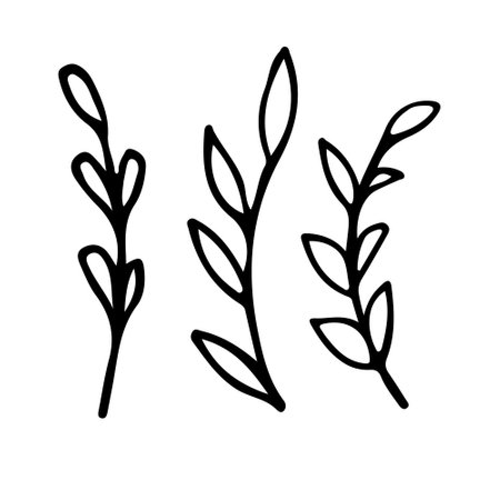 Collection sketch twigs. Floral elements hand drawn. vectorのイラスト素材